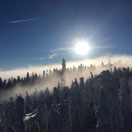 Wellness Klinovec Views * Loucna pod Klinovcem